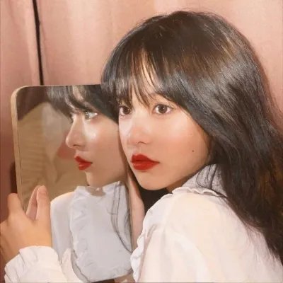 富贵吉娃娃